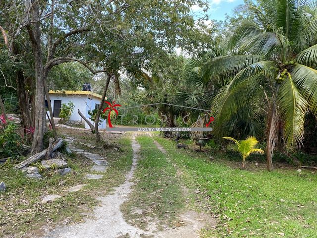 place photo 17