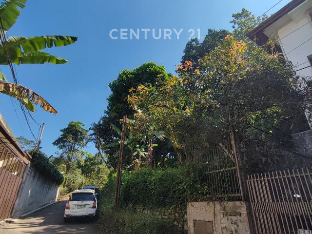 place photo 10