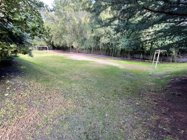 place photo 43