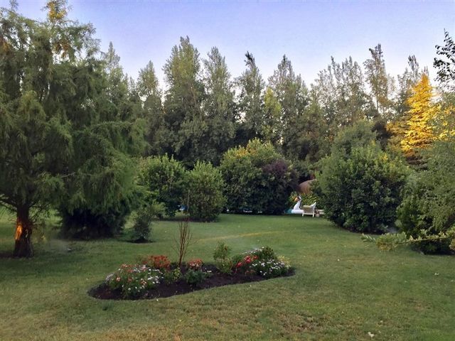 place photo 46