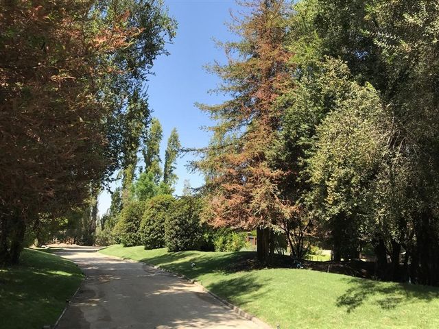 place photo 41