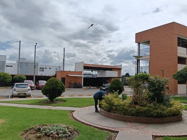 place photo 20