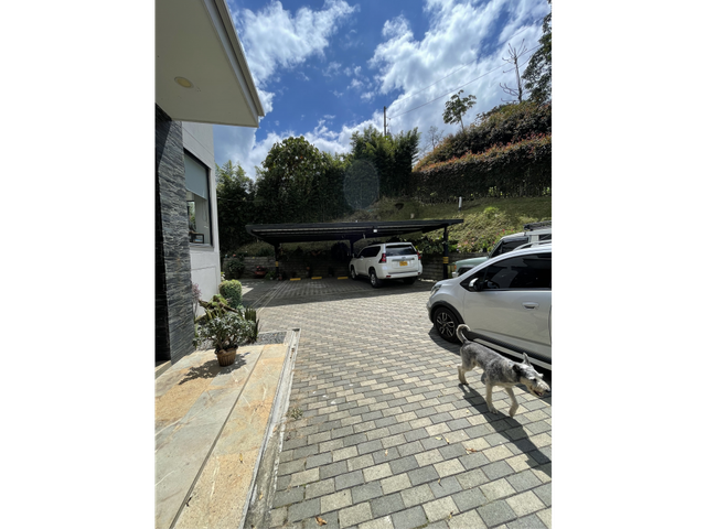 place photo 46