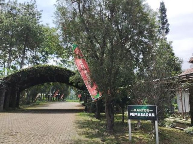 place photo 11