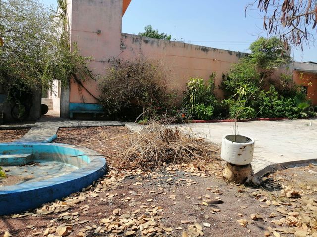 place photo 4