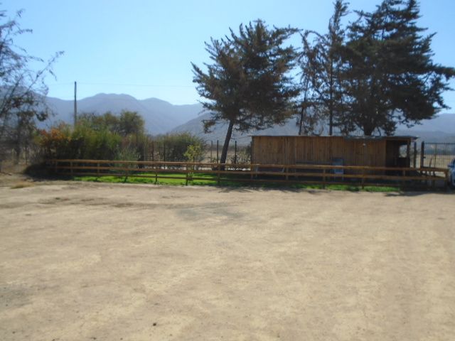 place photo 21