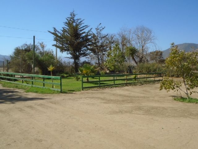 place photo 22