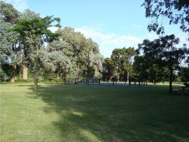 place photo 17