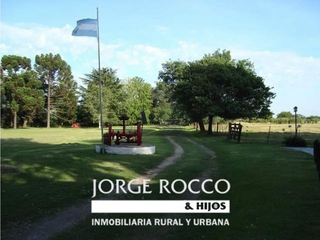 place photo 12