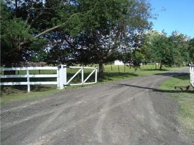 place photo 19