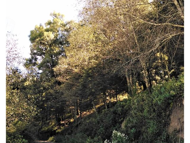 place photo 31