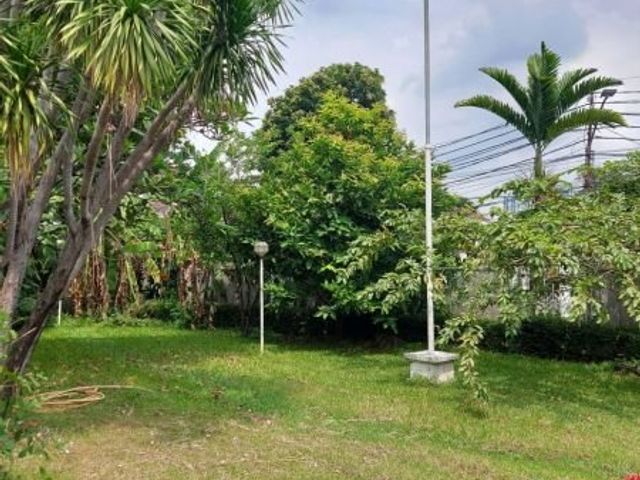 place photo 15