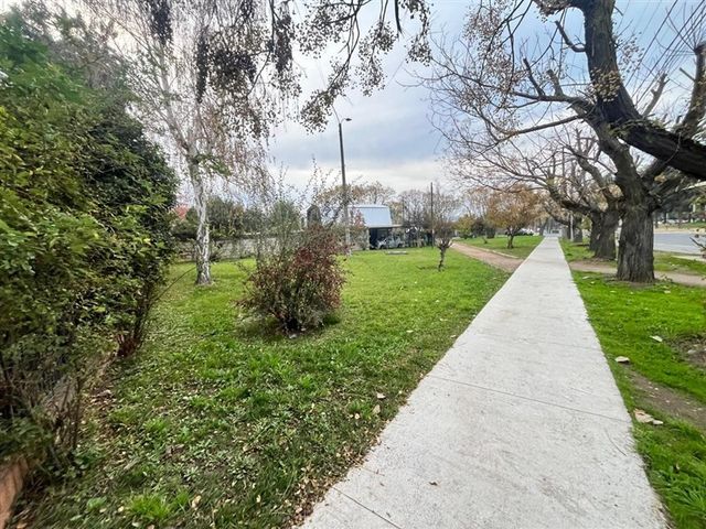 place photo 37
