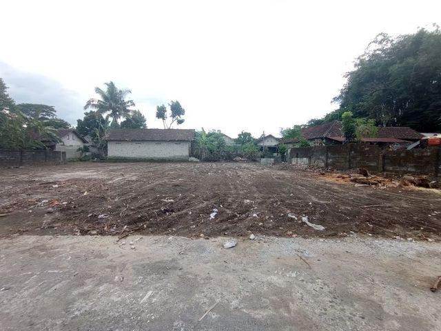 place photo 3