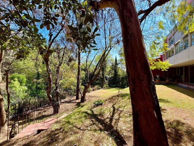 place photo 31