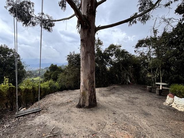 place photo 44