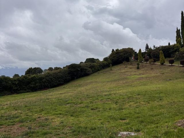 place photo 50