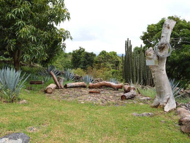 place photo 45