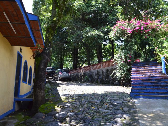 place photo 44