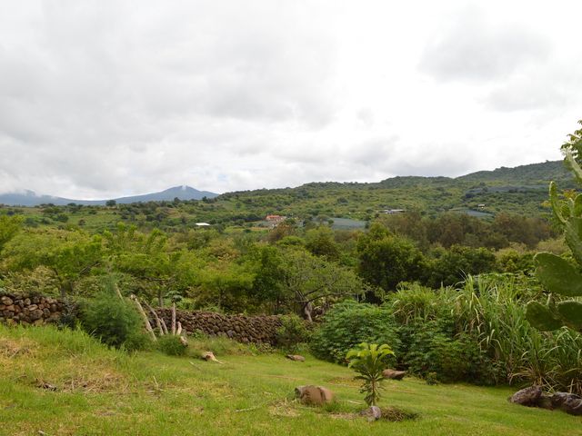 place photo 50