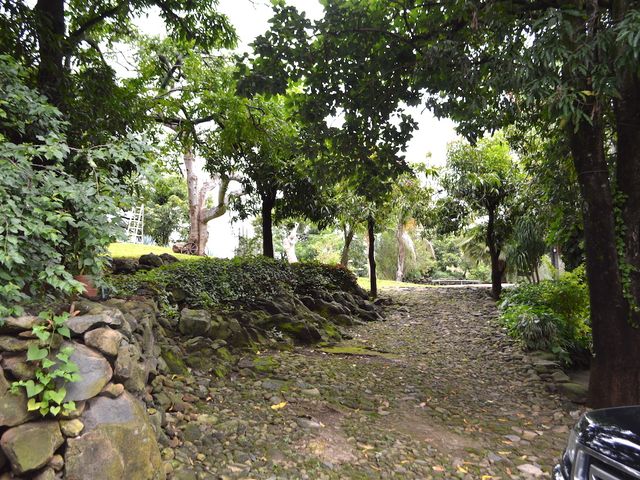 place photo 41