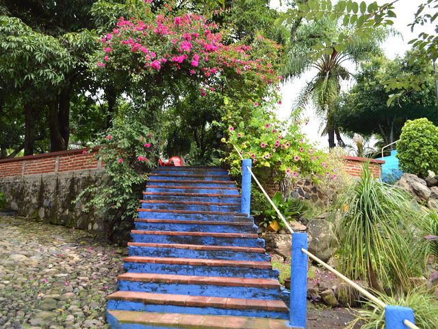 place photo 39
