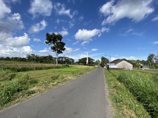 place photo 10