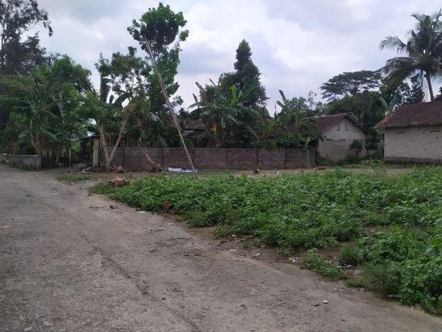 place photo 4