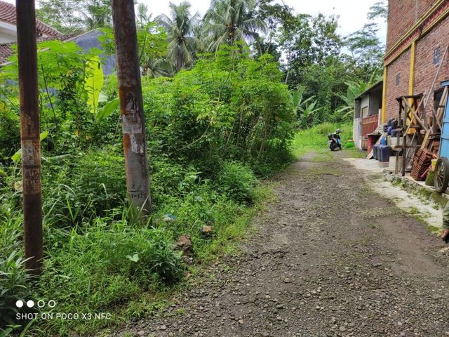 place photo 4