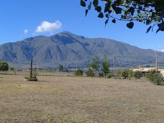 place photo 27