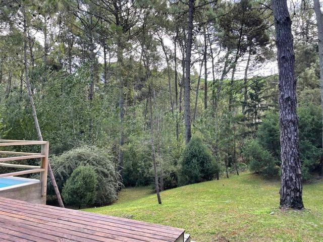 place photo 45