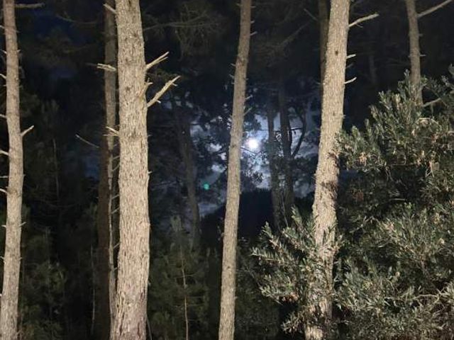 place photo 48