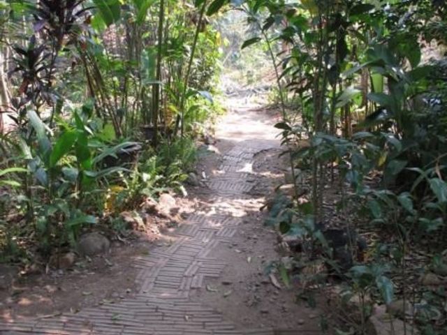 place photo 20