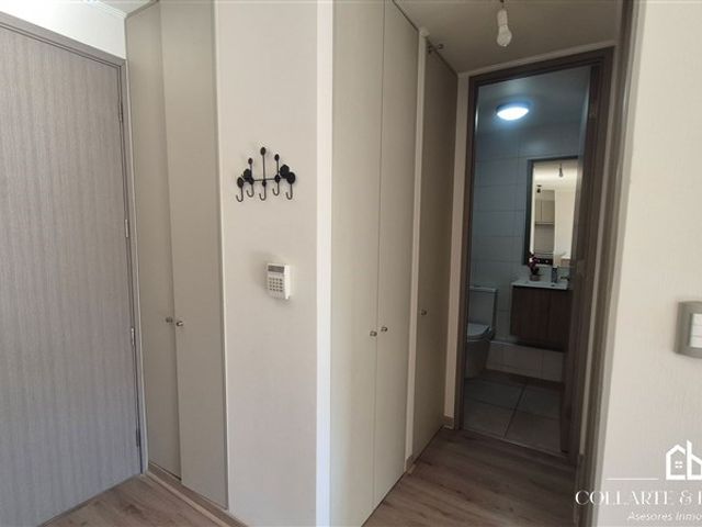 place photo 41
