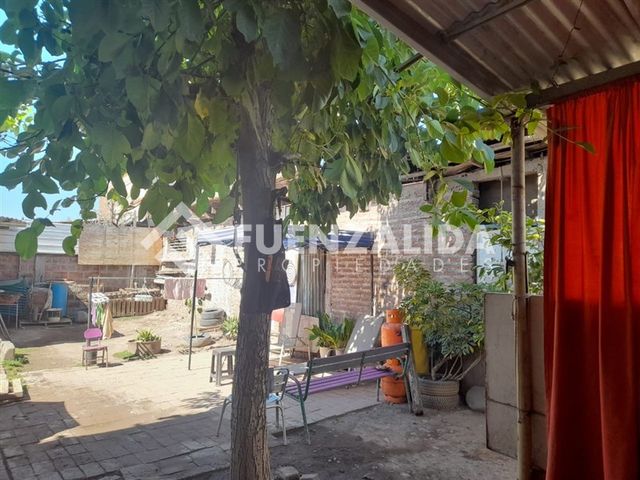 place photo 32