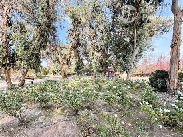 place photo 55