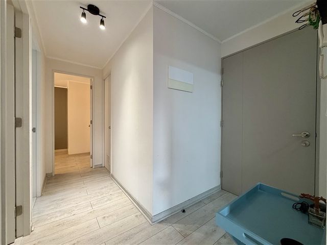 place photo 38