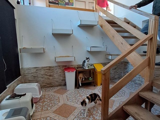 place photo 30