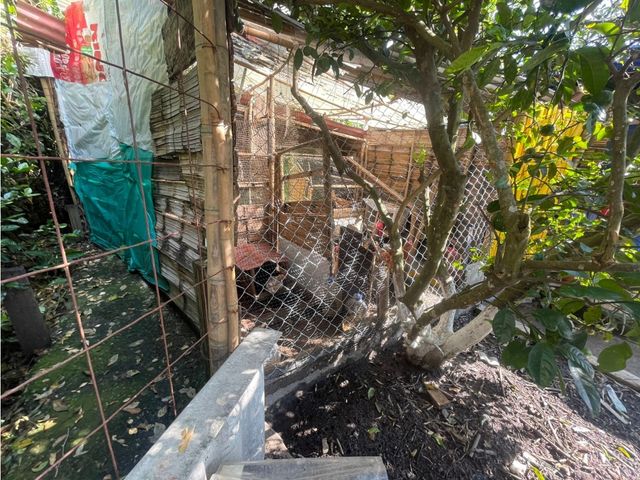 place photo 32