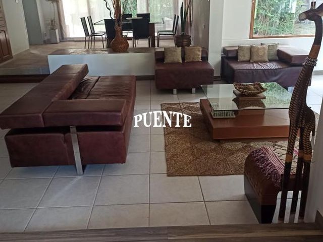 place photo 71