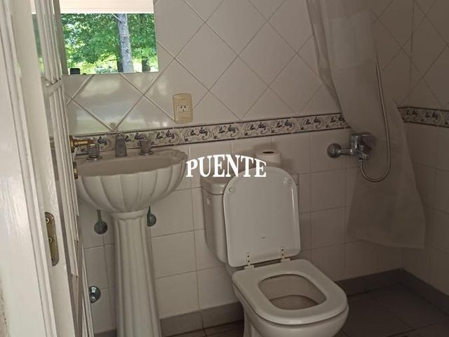 place photo 58