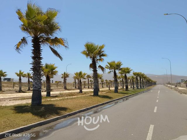 place photo 21