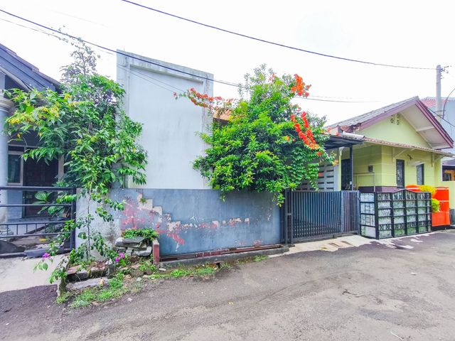 place photo 22