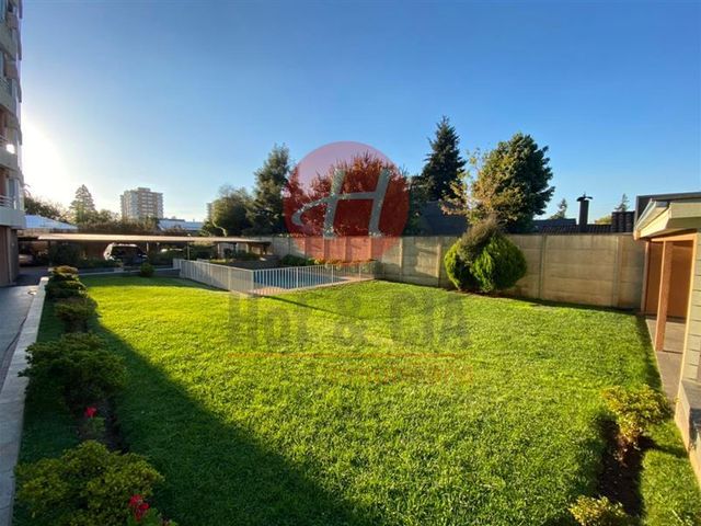 place photo 48