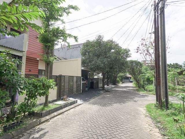 place photo 26