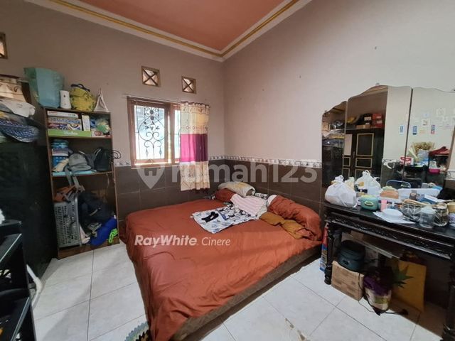 place photo 17