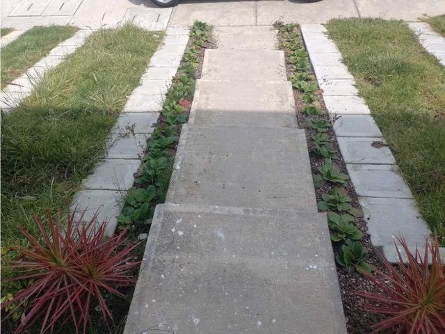 place photo 27