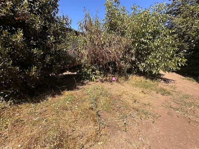 place photo 40