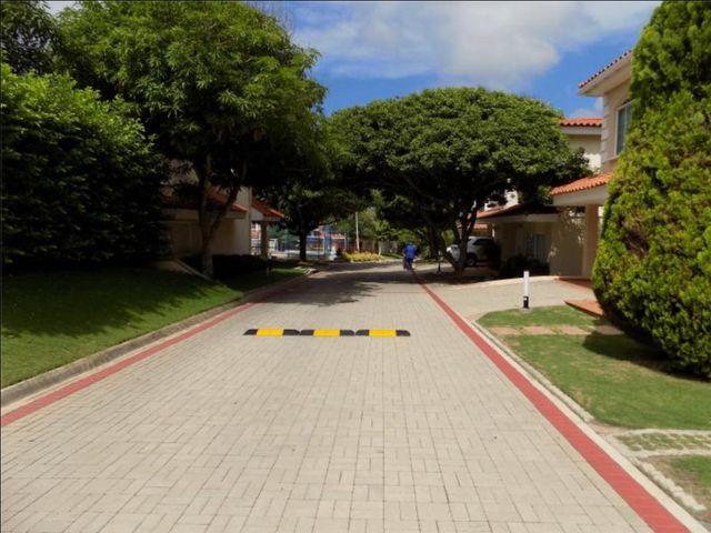 place photo 24