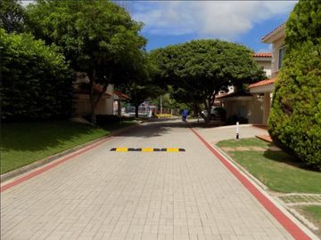 place photo 24
